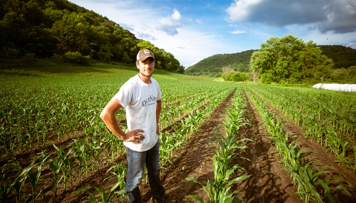 Young farmer standing in corn field