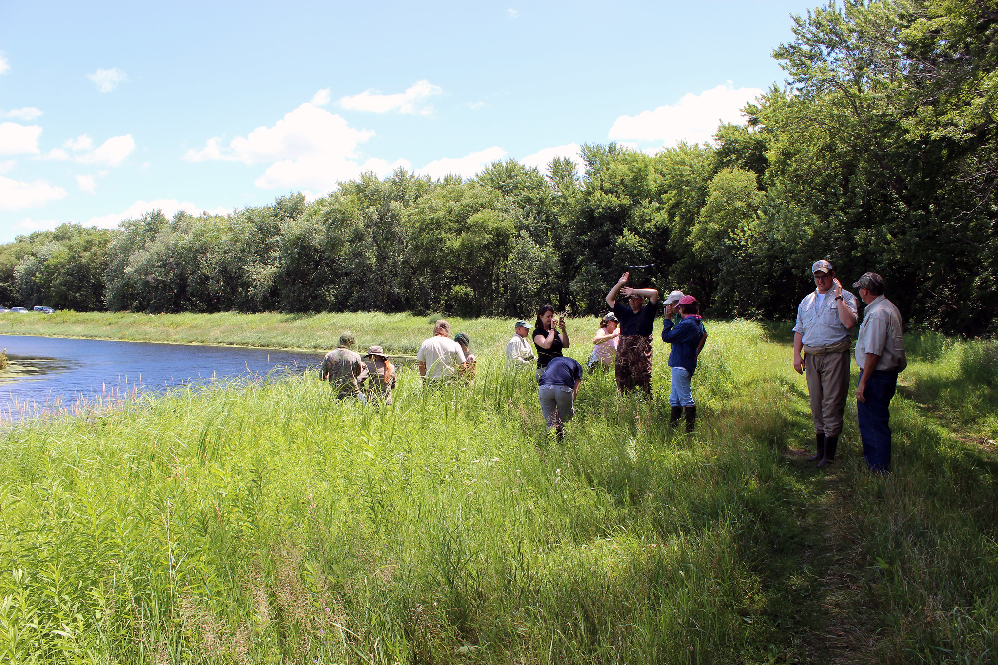 Group of people on a stream bank doing restoration