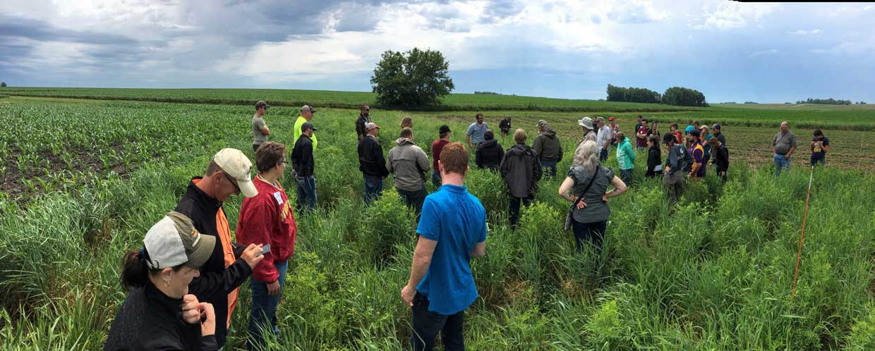 A group of people meeting in a field