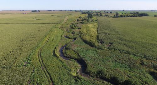 Aerial of a saturated buffer along a stream in a farm field