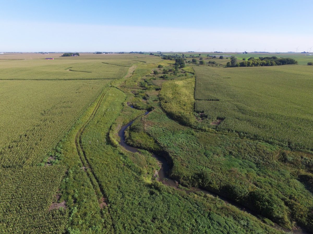 Aerial of a saturated buffer along a stream in a farm field